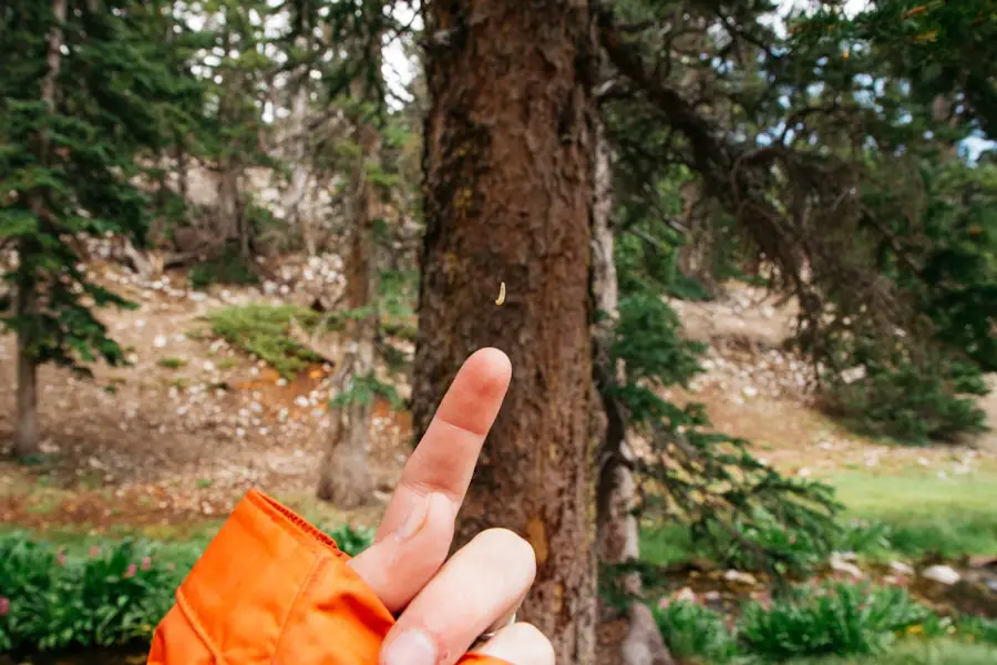 Photo "Why do your fingers swell when hiking?"