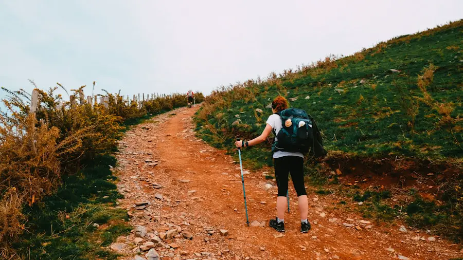 Photo What is the difference between hiking and walking?
