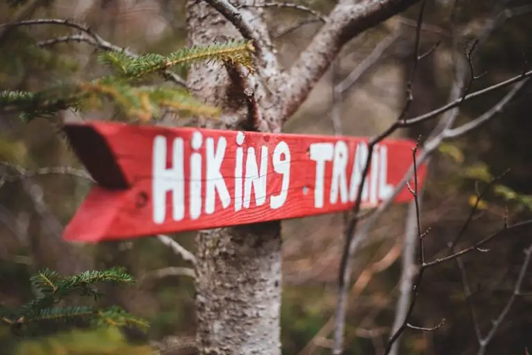 Photo "how to protect yourself from ticks while hiking"