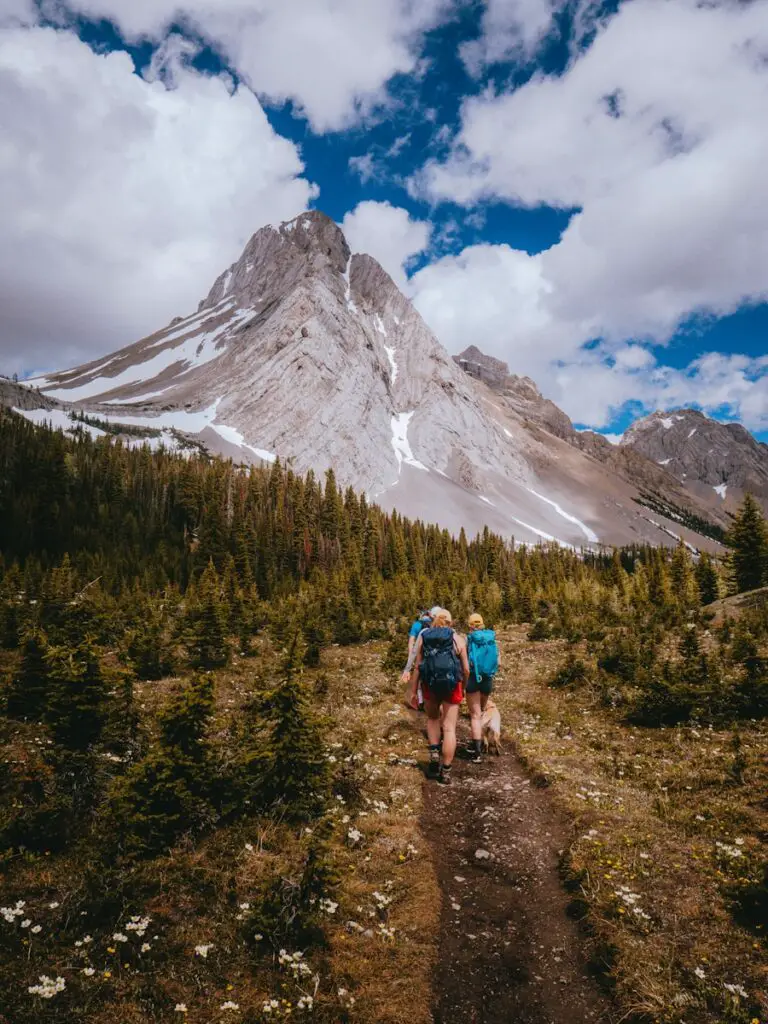 Photo What is considered hiking?