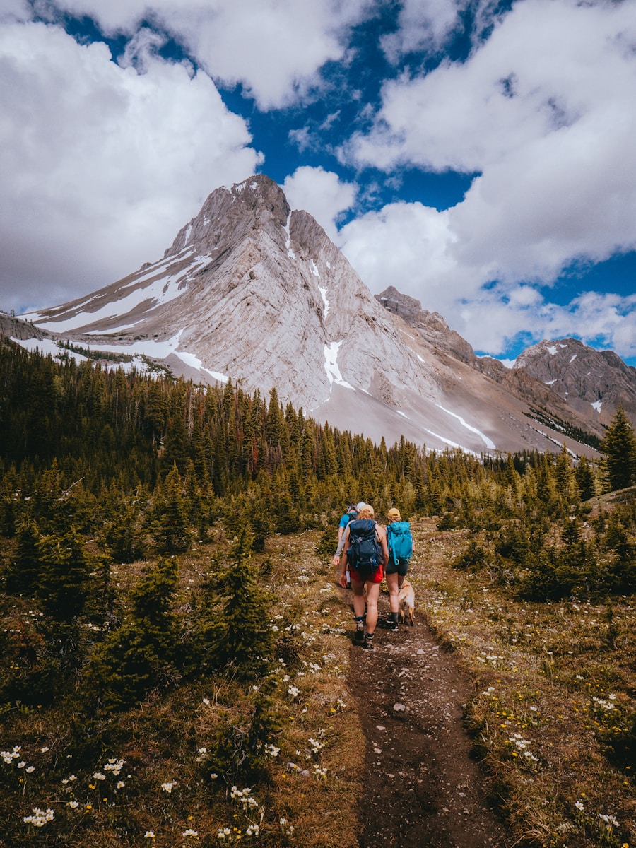 Photo What is considered hiking?