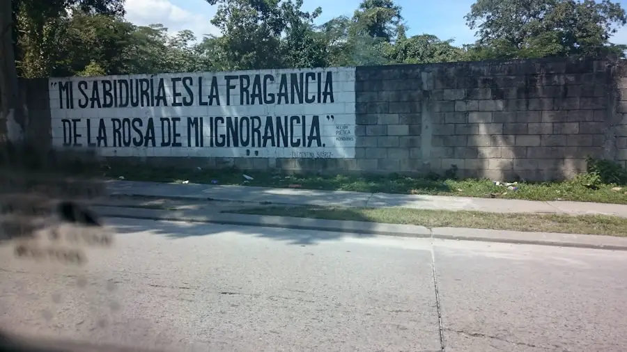 Photo "¿Cuáles son buenas prendas para hacer senderismo?"