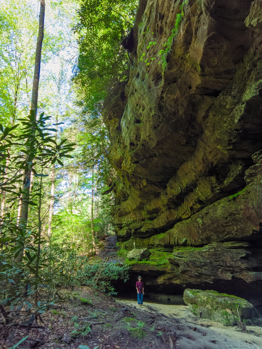 Photo "What to do in Hocking Hills besides hiking"