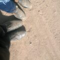 Photo "are vasque hiking boots good"