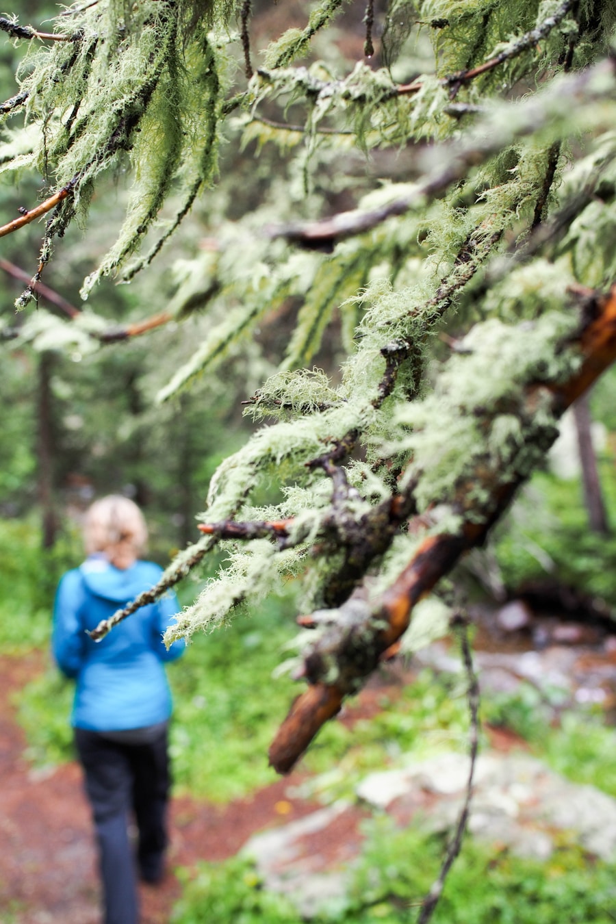Photo "how to use hiking sticks"