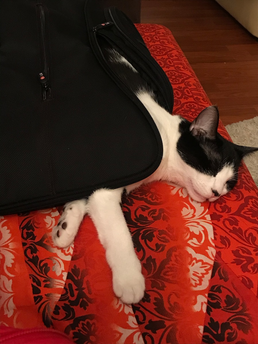 Photo "What size backpack for day hiking"