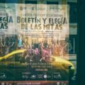 Photo "¿Cuáles son los mejores calcetines para senderismo?"