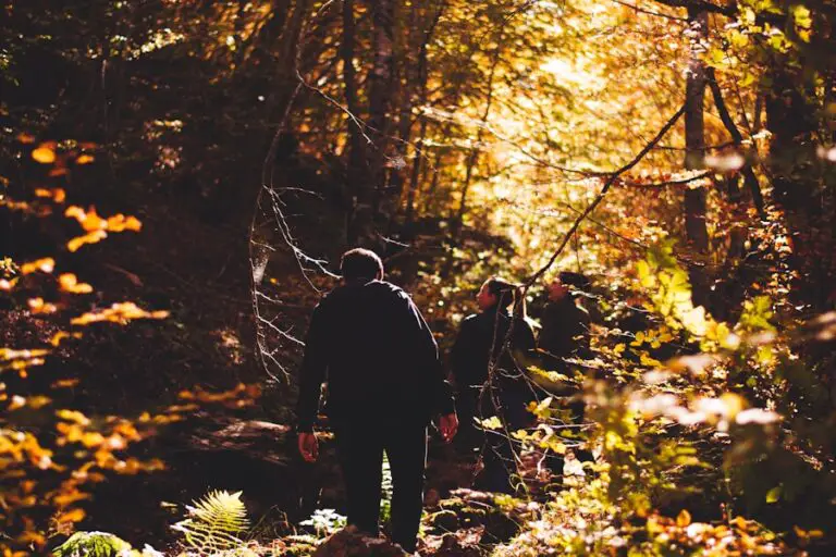 Photo "What to wear for hiking in fall"