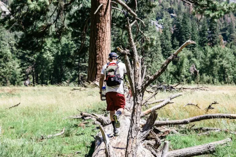 Photo "how do hiking poles help"