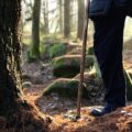 Photo "how to use walking sticks for hiking"