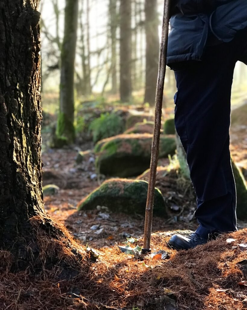 Photo "how to use walking sticks for hiking"