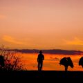 Photo "how long should a hiking staff be"