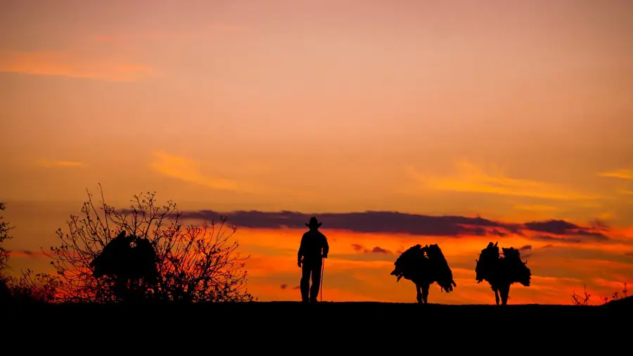 Photo "how long should a hiking staff be"