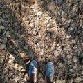 Photo "should hiking shoes be tight"