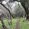 Photo Will Rogers Hiking Trail