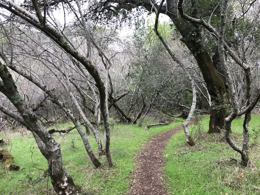 Photo Will Rogers Hiking Trail