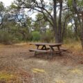Photo Will Rogers State Park hiking trails