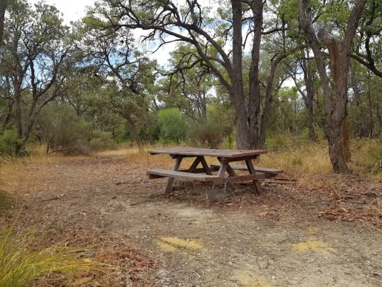 Photo Will Rogers State Park hiking trails