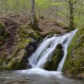 Photo Waterfall view