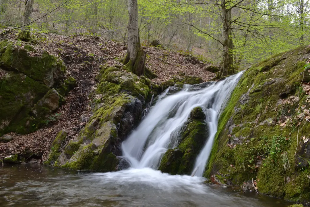 Photo Waterfall view