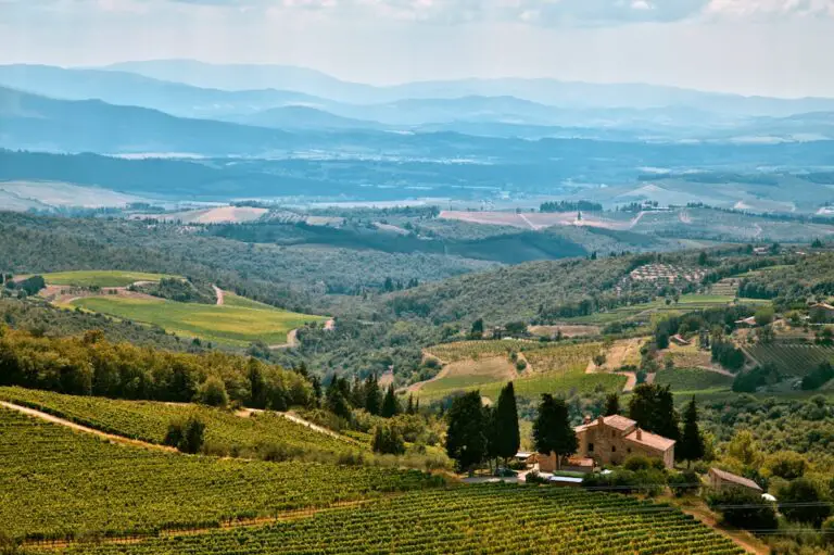 Photo Mountain view