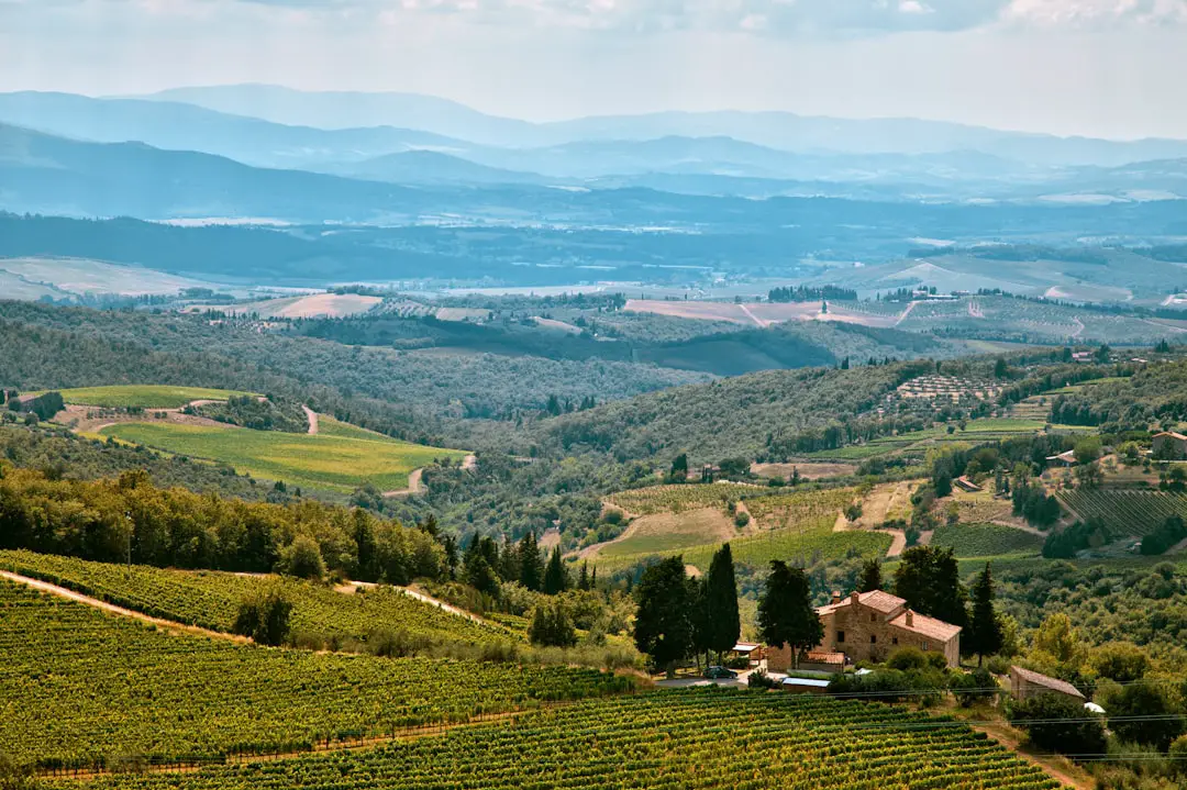 Photo Mountain view