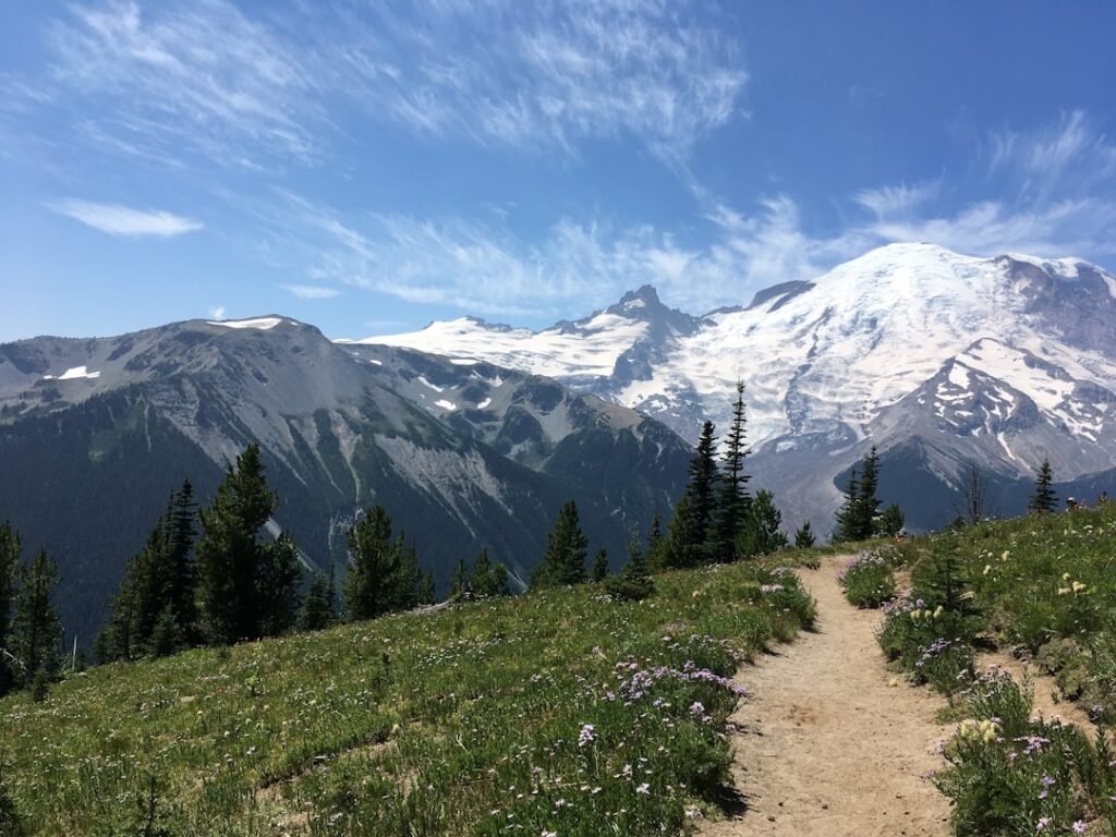 Exploring the Outdoors: Trekking vs. Hiking Photo Mountain trail