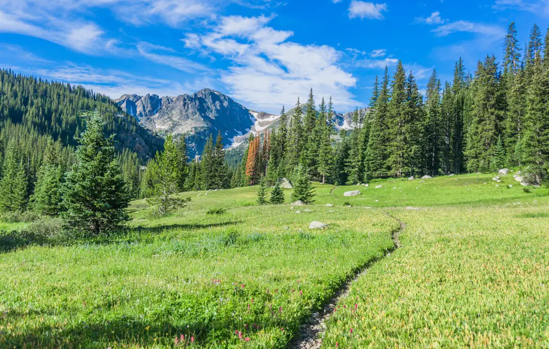 Photo Hiking trail