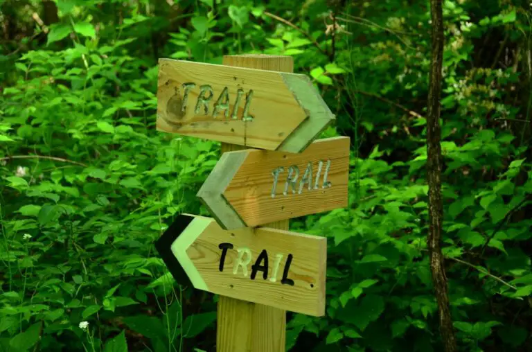 Photo Trail mix