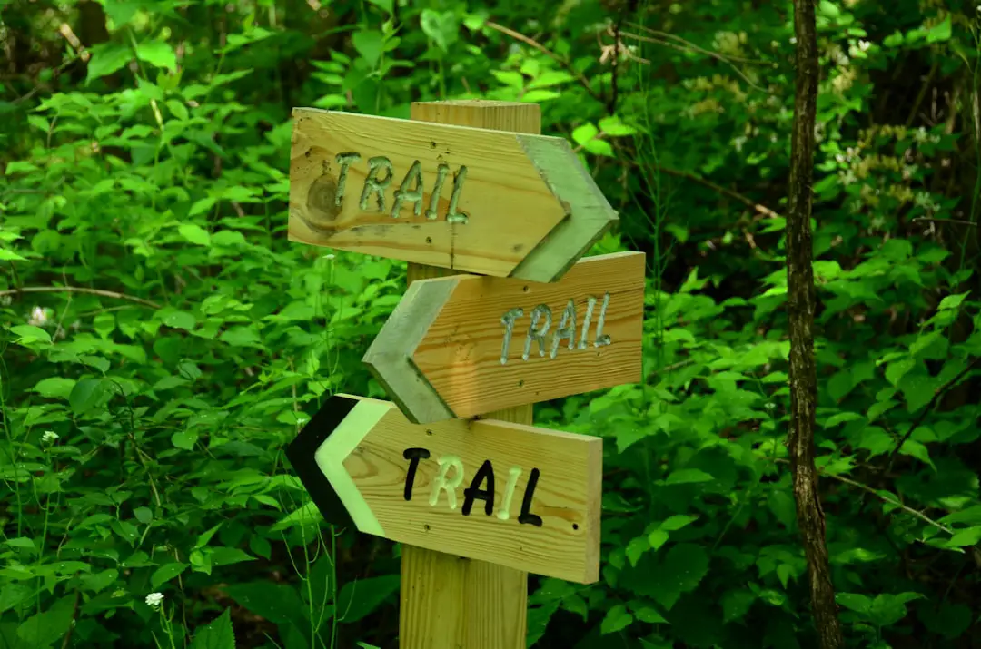 Photo Trail mix