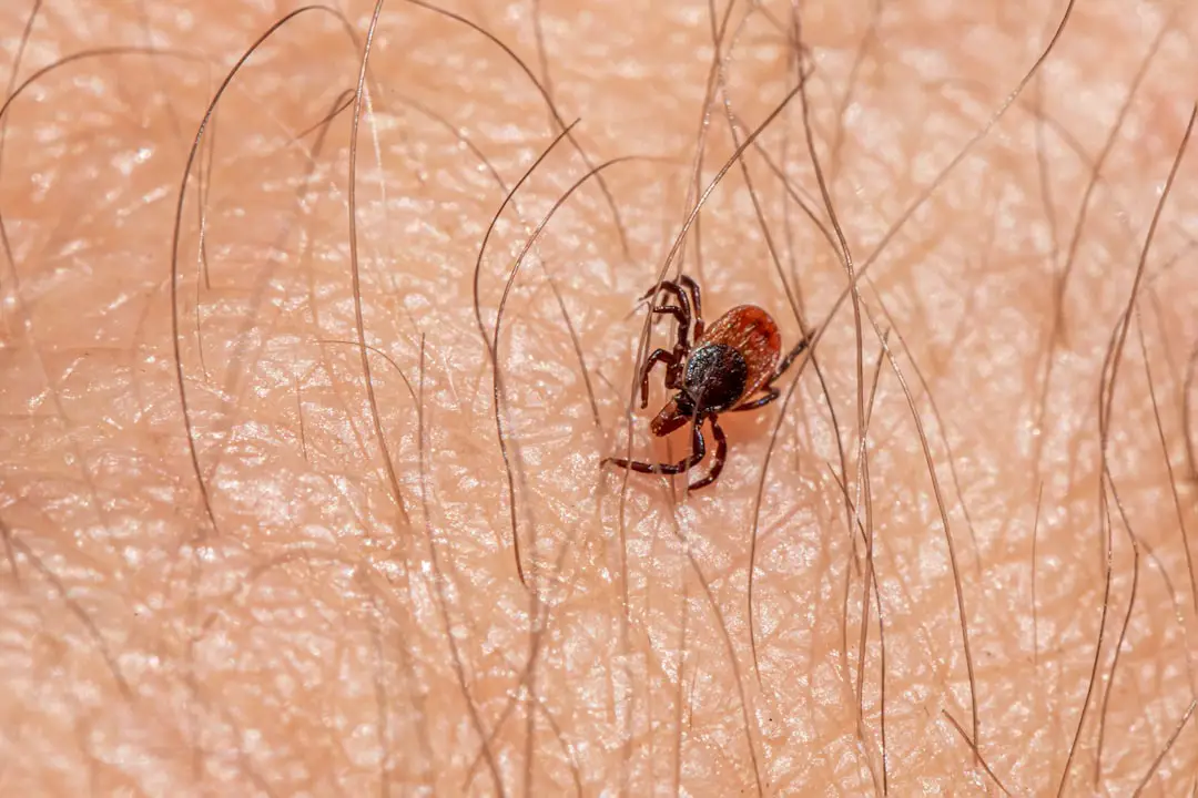 Photo Tick repellent