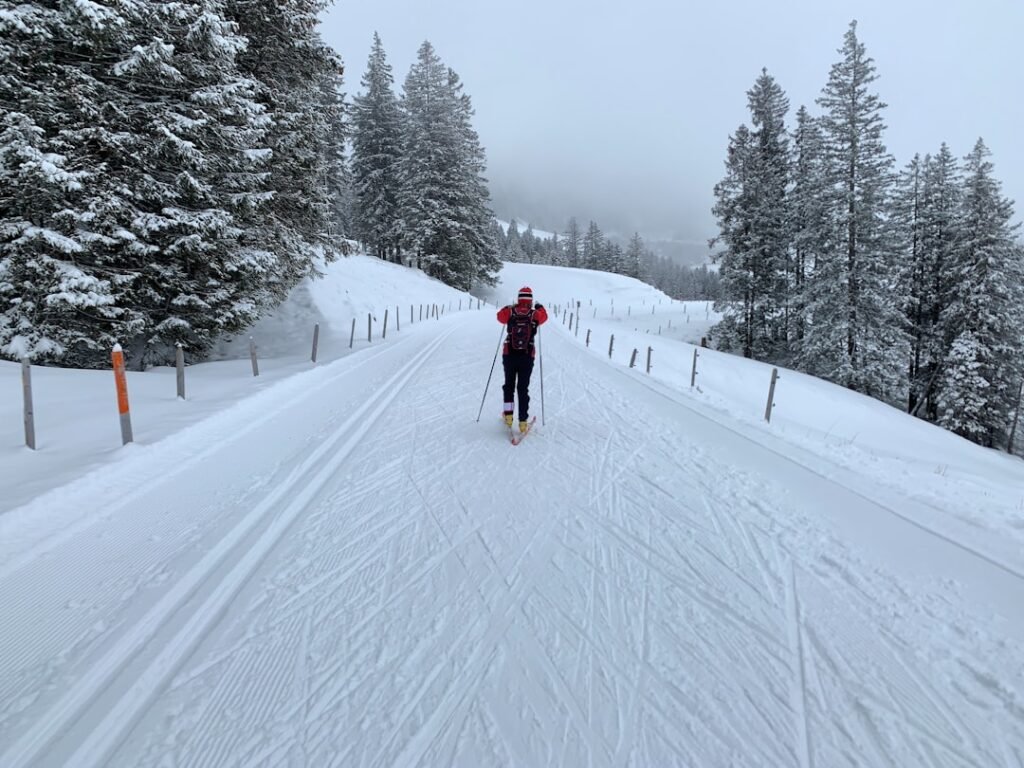 Can Hiking Poles Work for Skiing? Photo Cross-country skiing