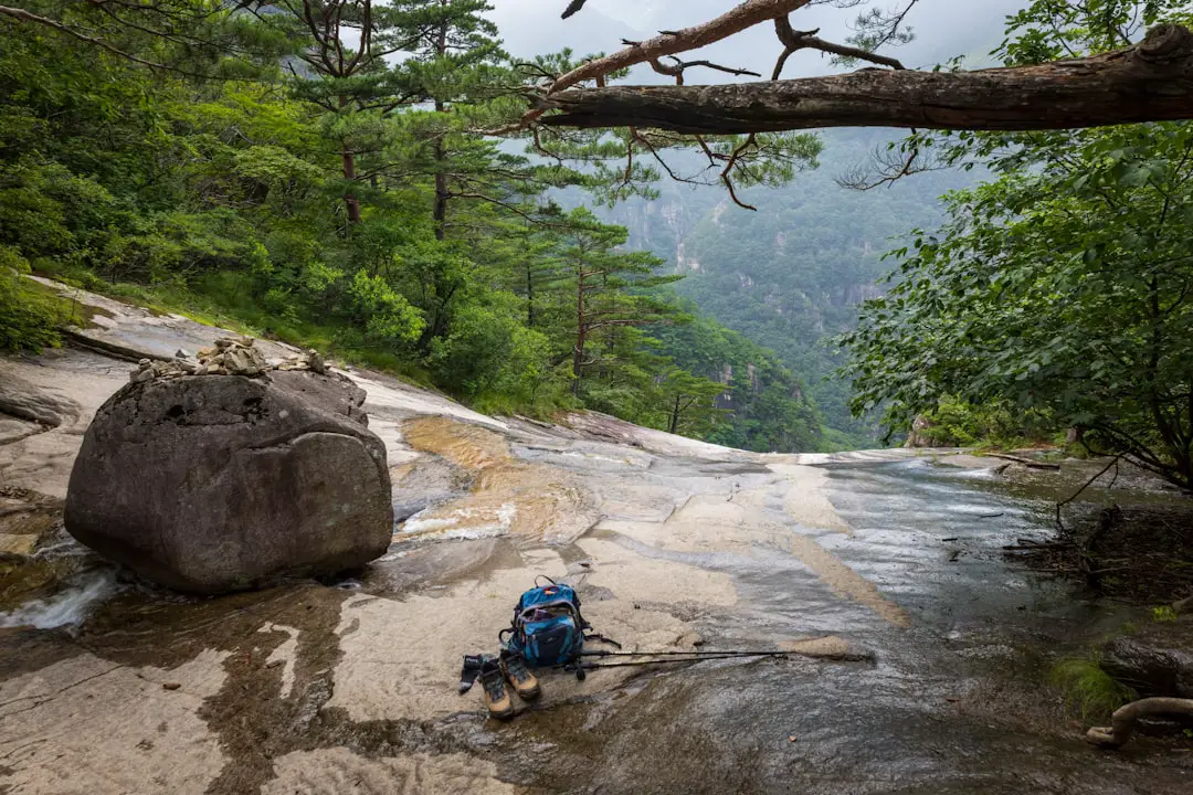 Photo Hiking sticks