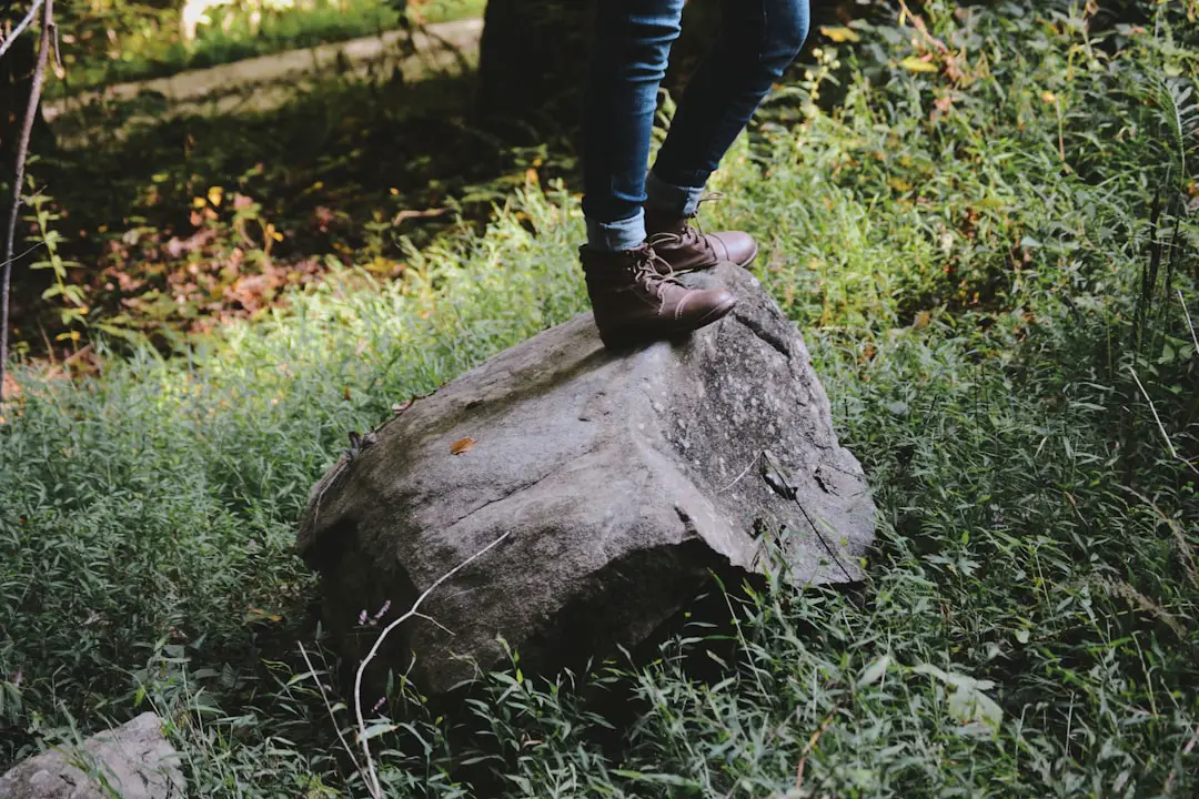 Photo Trail shoes