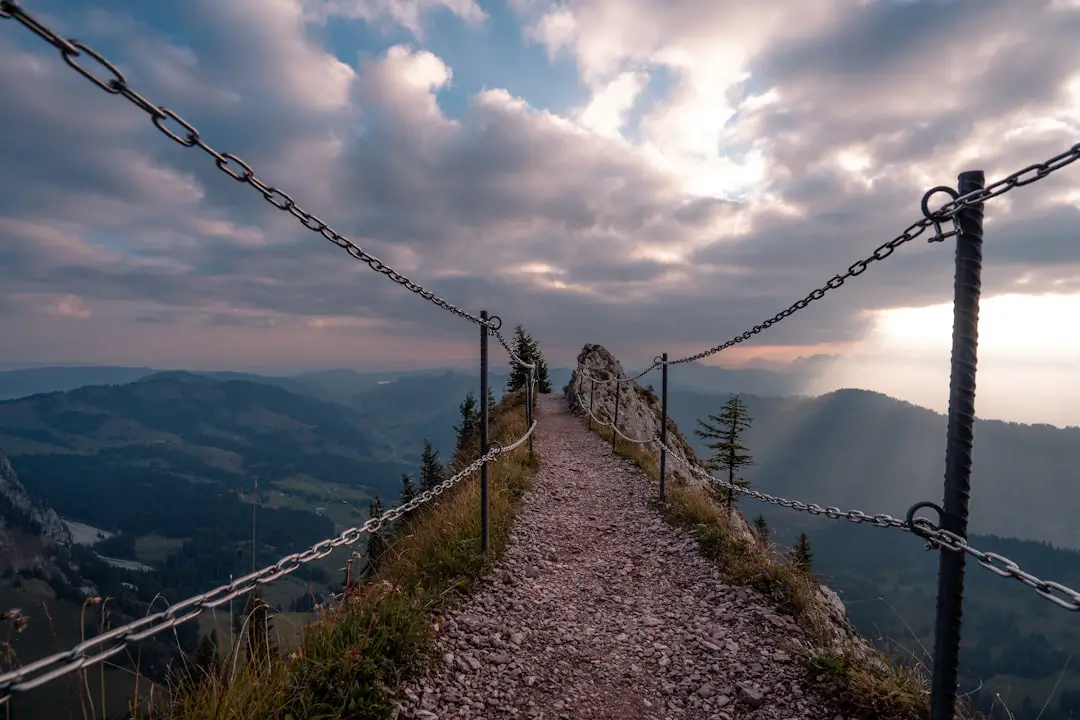 Photo Hiking poles