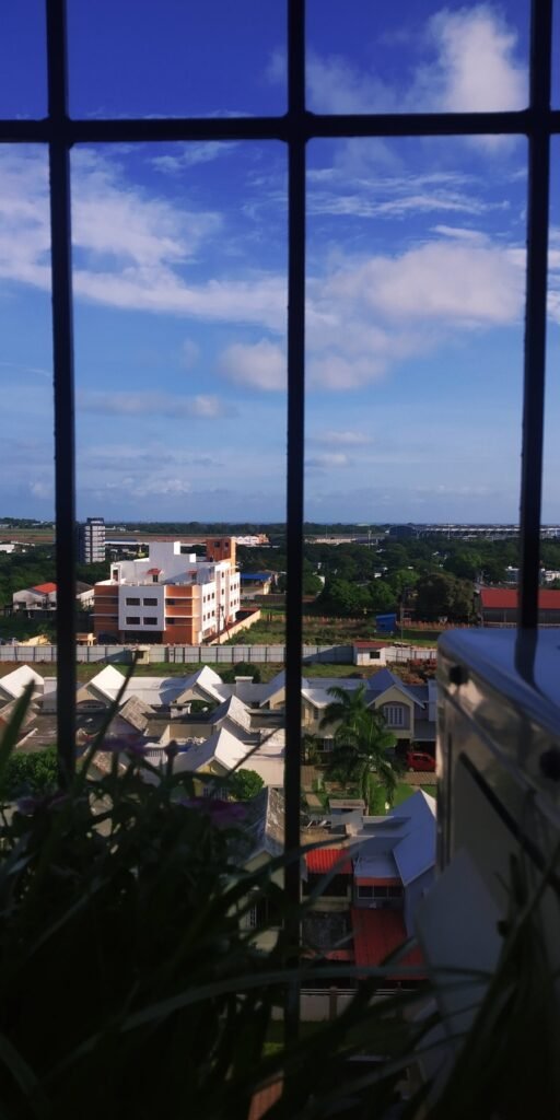 Photo Top Things To Do In Paramaribo, Suriname
