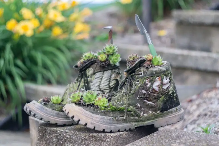 Photo "where to buy hiking shoes near me"