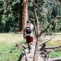 Photo "how to use hiking poles correctly"