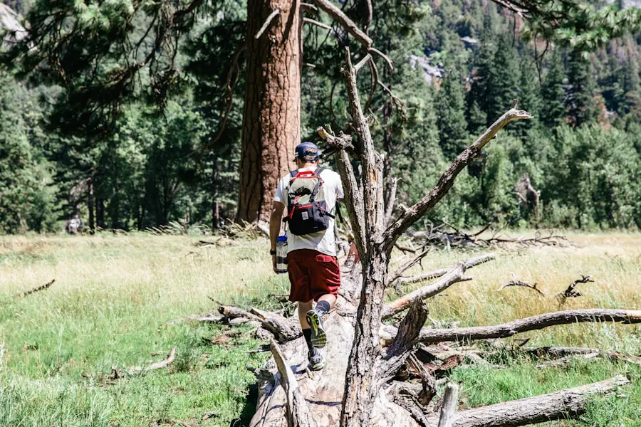 Photo "how to use hiking poles correctly"