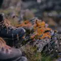 Photo "how to choose hiking boots"