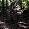 Photo A switchback in hiking is a trail that zigzags back and forth up a steep incline