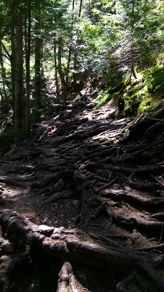 Photo A switchback in hiking is a trail that zigzags back and forth up a steep incline