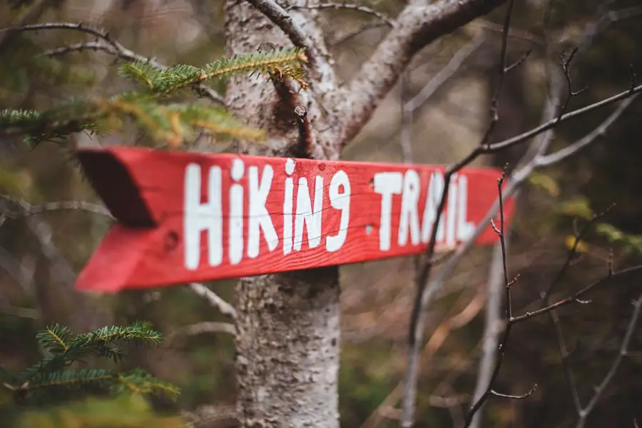 Photo "how many hiking trails are at stone mountain ga"