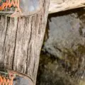 Photo How to clean hiking boots