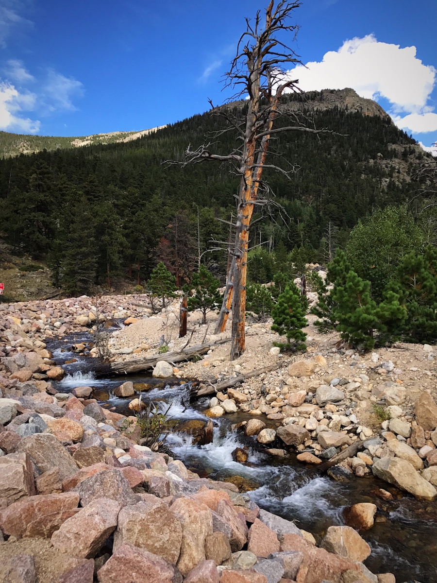 Photo "Do I need hiking sticks in Blue Lakes Breckenridge?"