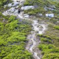 Photo What is scrambling in hiking?