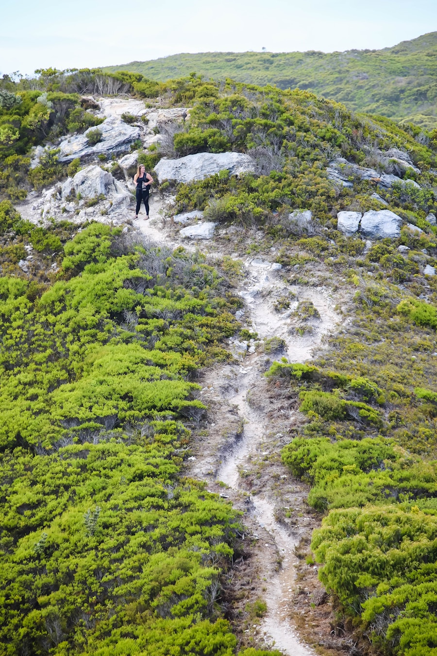 Photo What is scrambling in hiking?