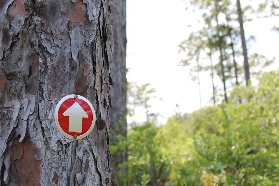 Photo "how to avoid getting lost while hiking"