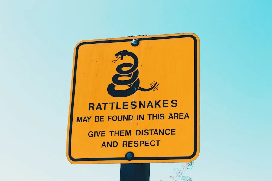 Rattlesnake Bite on a Hike: What to Do Hikers staying calm while arranging emergency help after a snake encounter