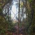 Photo "how to choose hiking poles"